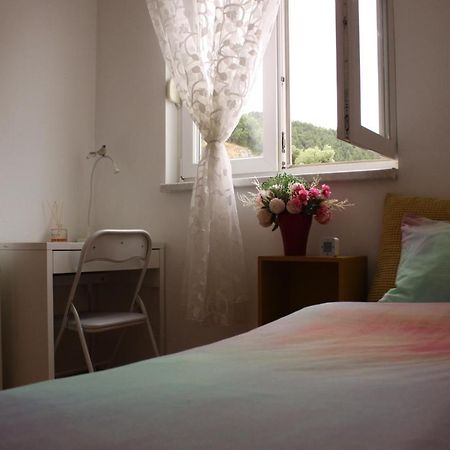 Apartment Vira 马卡尔斯卡 外观 照片